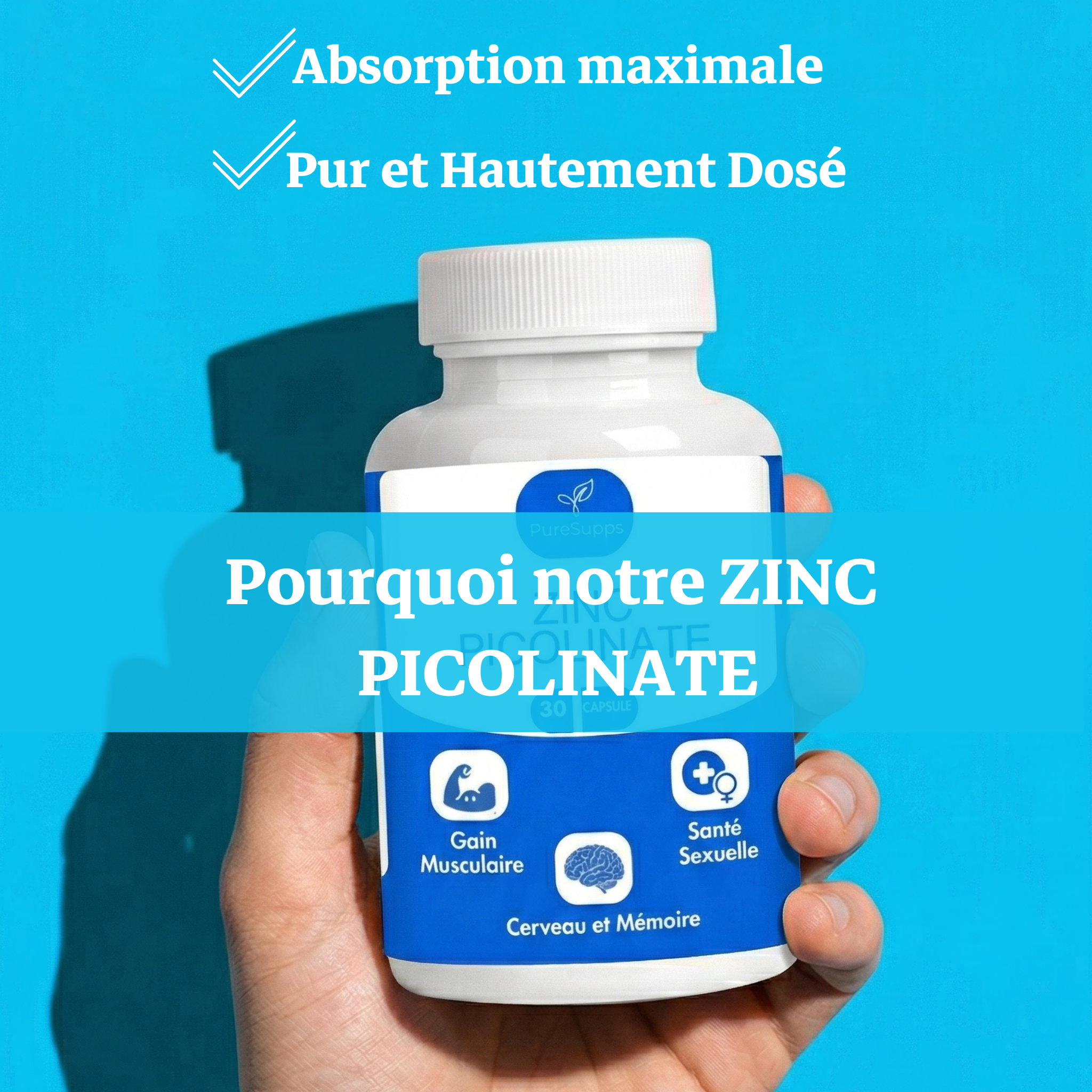 Zinc Picolinate